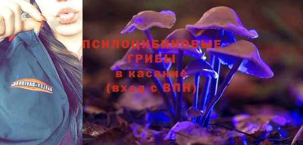 PSILOCYBIN Верея